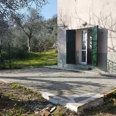 Il Foresto