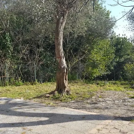Il Foresto Appartement La Spezia